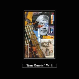 Album cover of Home Demo/ns vol. II