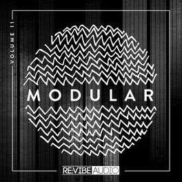 Album cover of Modular, Vol. 11