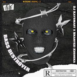 Album cover of Bass Destroyer (Live)