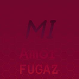 Album cover of Mi Amor Fugaz