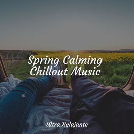 Album cover of Spring Calming Chillout Music