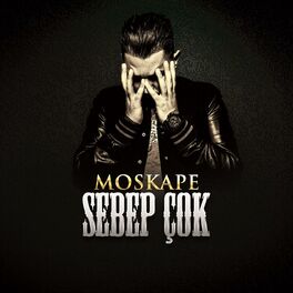Album cover of Sebep Çok