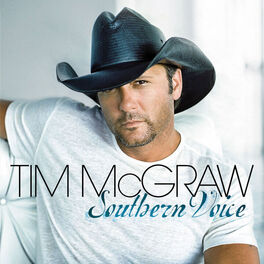Album cover of Southern Voice