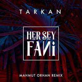 Album picture of Her Şey Fani (Mahmut Orhan Remix)