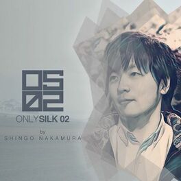 Album cover of Only Silk 02