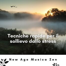 Album cover of Tecniche rapide per il sollievo dallo stress