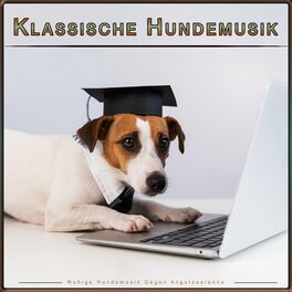 Album cover of Klassische Hundemusik: Ruhige Hundemusik Gegen Angstzustände