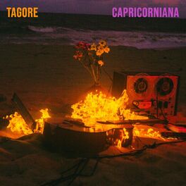 Album cover of Capricorniana