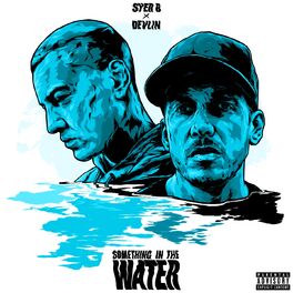 Album cover of Something in the Water
