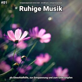 Album cover of #01 Ruhige Musik als Einschlafhilfe, zur Entspannung und zum Entkrampfen