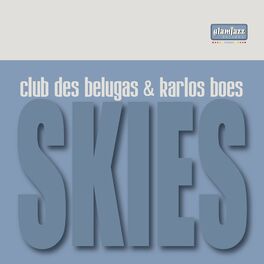 Album cover of Skies
