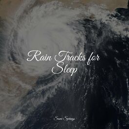 Album cover of Rain Tracks for Sleep
