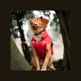 Album cover of いぬのチル・セッション