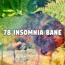 Album cover of 78 Insomnia Bane