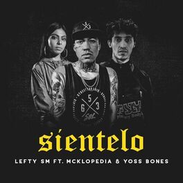 Album cover of Sientelo