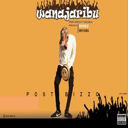 Album cover of wanajaribu