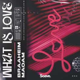 Album cover of What Is Love