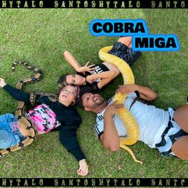 Album cover of Cobra Miga