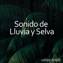 Album cover of Sonido de Lluvia y Selva