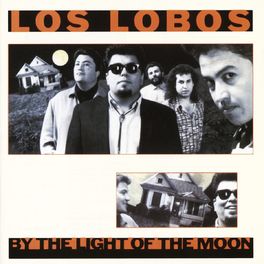 Album cover of By The Light Of The Moon