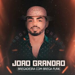 Album cover of Bregadeira Com Brega Funk