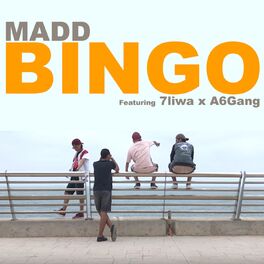 Album cover of Bingo