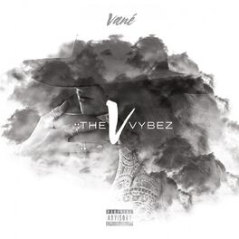 Album cover of The V Vybez