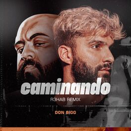 Album cover of Caminando (R3HAB Remix)