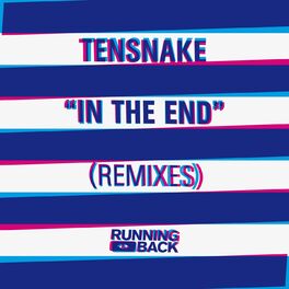 Album cover of In The End (Remixes)
