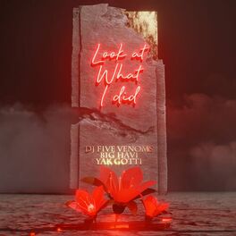 Album cover of Look At What I Did