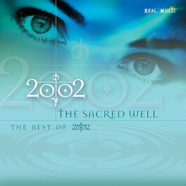 Album cover of The Sacred Well (The Best of 2002)