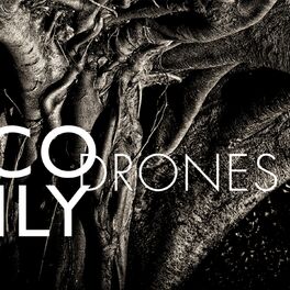 Album cover of Drones