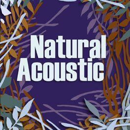 Album cover of Natural Acoustic