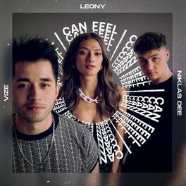 Album cover of I Can Feel