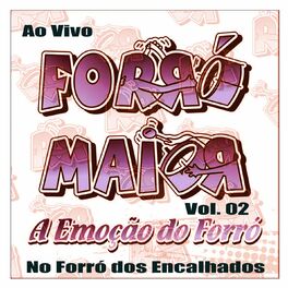 Album cover of AO VIVO NO FORRÓ DOS ENCALHADOS 1996 - VOL. 2
