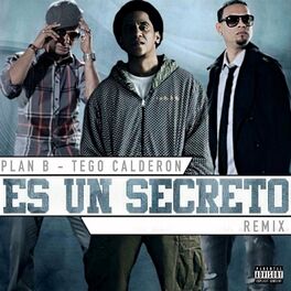 Album cover of Es Un Secreto (Remix)
