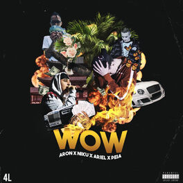 Album cover of 'WOW' (feat. Ariel & Peia)