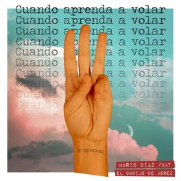 Album cover of Cuando Aprenda a Volar