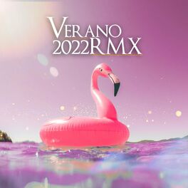 Album cover of VERANO 2022 (feat. THE LA PLANTA, BRANDY LOVE, IVAN FITT, DANI CEJAS, DJ LAUUH & LEAN ON THE BEATS) [REMIX OFICIAL]