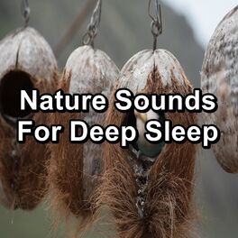 Album cover of Nature Sounds For Deep Sleep