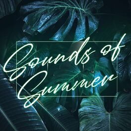 Album cover of Sounds Of Summer