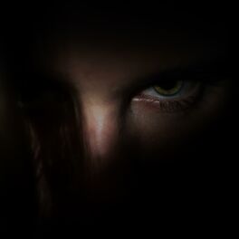 Album cover of Vengeance