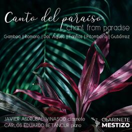 Album cover of Canto del Paraíso