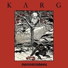 Album cover of Dornenvögel