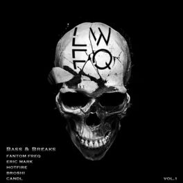 Album cover of Bass & Breaks