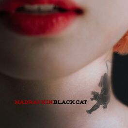 Album picture of Black Cat