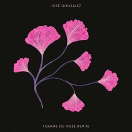 Album cover of Tjomme (DJ Koze Remix)