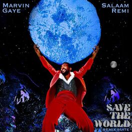 Album picture of Save The World Remix Suite