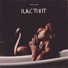 Album cover of I Like That