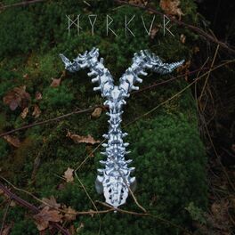Album cover of Spine